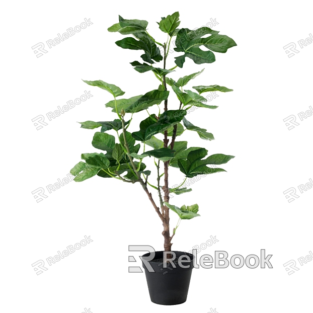 green plant plant potted tree model