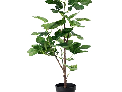 green plant potted tree model