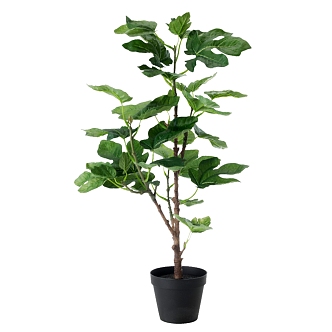 green plant potted tree 3d model