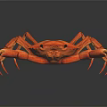 Red Crab With Large Claws On Black Background And Shiny Reflection