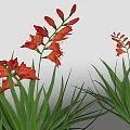 mars flower SU model vray 3d model