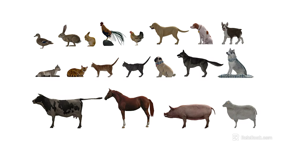 Various Reptile Species Including Snakes Lizards And Tortoises In Natural Wildlife Habitats 3d model 