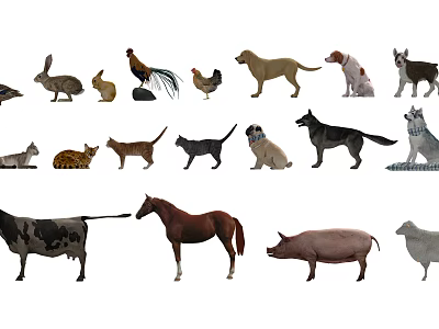 Various Reptile Species Including Snakes Lizards And Tortoises In Natural Wildlife Habitats 3d model