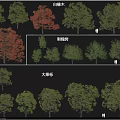 Various Tree Varieties Featuring Ash Black Locust And Bur Oak Species