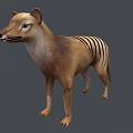 Realistic Striped Reptile 3D Model In Standing Position With Natural Colors
