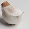 Fresh Garlic on Wooden Cutting Board with Whole Bulb and Cloves