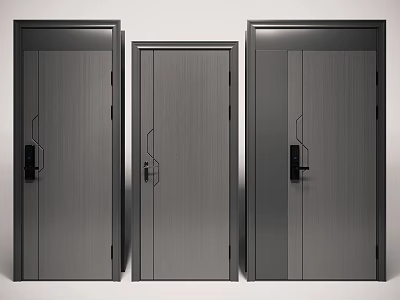 Modern Three Gray Security Doors With Panel Design And Secure Lock Systems 3d model
