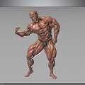 Muscular Man Posing to Flex Well Defined Strong Fit Body Muscles