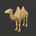 Realistic Light Brown Bactrian Camel Standing With Two Humps On Dark Background 3d model