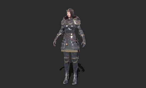 Lady Soldier Knight 3d model