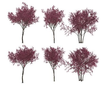 Modern Cherry Tree 3d model