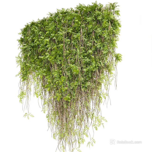 Green Hanging Shrub With Lush Foliage Dense Growth And Trailing Vines 3d model 