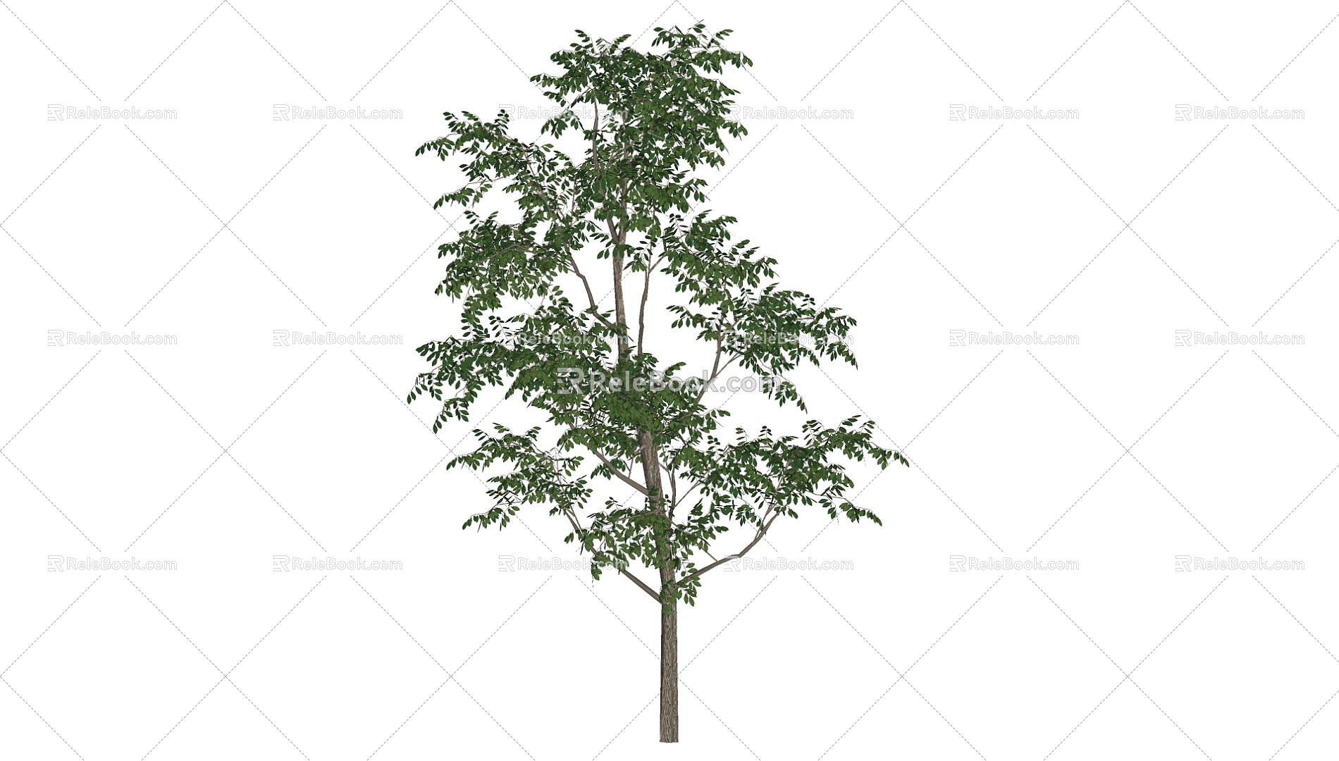 Tree 3d model