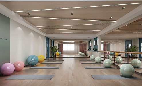 Modern Yoga Studio Dance Room 3d model