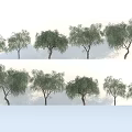 Diverse Arbor Trees With Various Shapes Sizes And Lush Foliage For Landscape Design