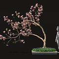 Bonsai Plant With Pink Blossoms And Elegant Branches In Decorative Square Pot With Stone Statue