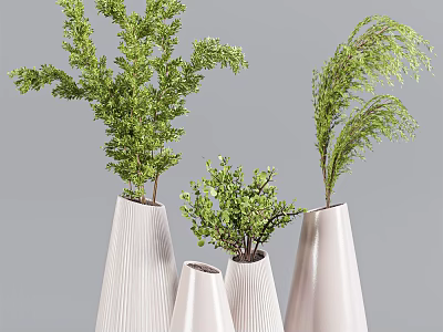 White Conical Striped Vases with Various Green Natural Plants and Fresh Foliage 3d model