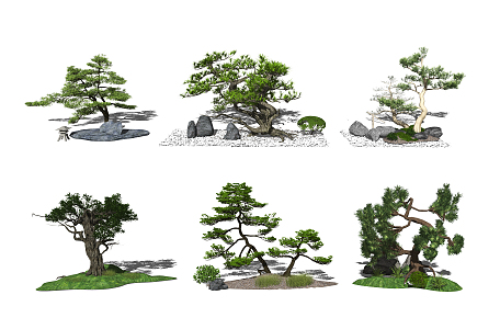 New Chinese Pine Landscape Setches Landscape Trees 3d model