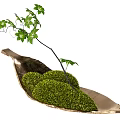 Bonsai Potted Plants In Unique Metal Containers With Moss And Small Trees On White Pedestals