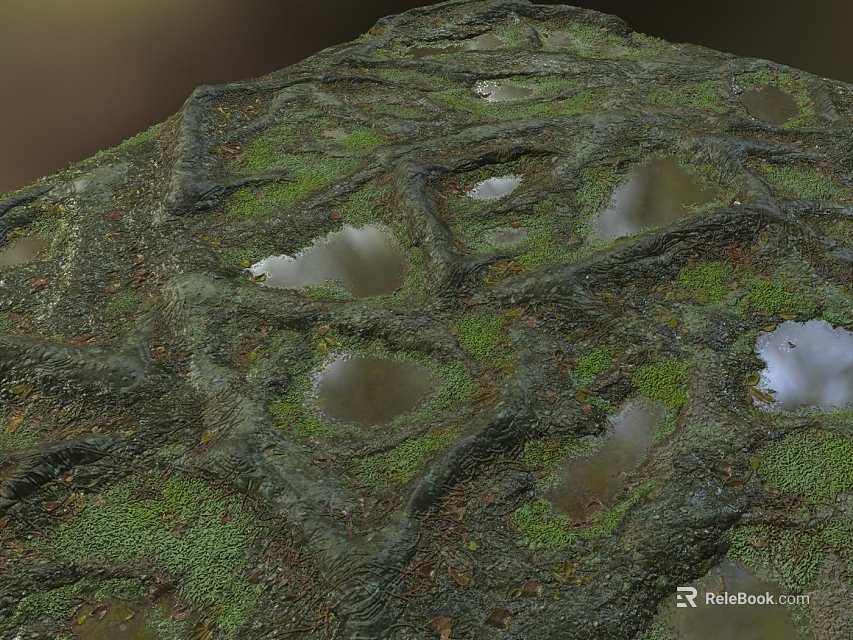 Natural stone surface with green moss covered holes and small water pool reflections 3d model 