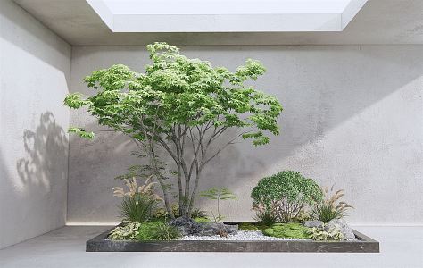 Modern Landscape Sketch Courtyard Landscape Sketch Moss Stone Flowers and Plants 3d model