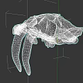 Detailed Animal Skull With Long Fangs And Anatomical Bone Structure View