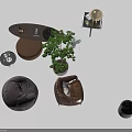 Brown Single Sofa With Green Plant Decorative Pillow And Small Coffee Table 3d model