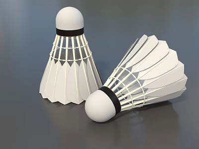 Two White Badminton Shuttlecocks With Feather Structure And Black Rubber Heads 3d model