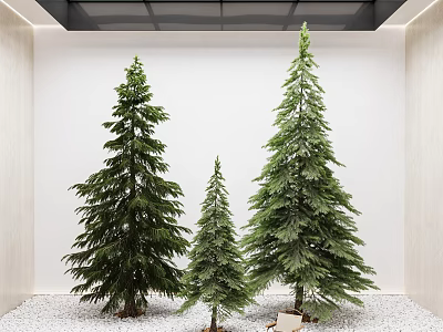 Modern Pine Garden View Pine 3d model