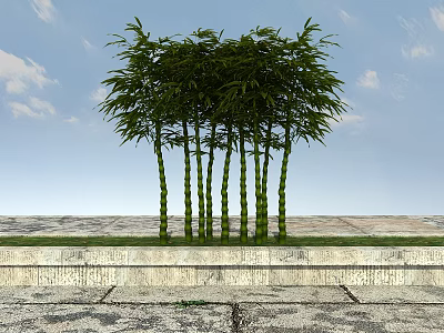 Green Bamboo Trees Growing On Stone Platform With Blue Sky White Clouds And Stone Pavement 3d model
