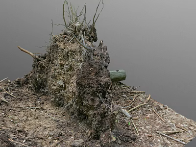 Natural Scene Featuring Earth Mound With Dry Branches Tree Roots Green Log And Scattered Soil 3d model
