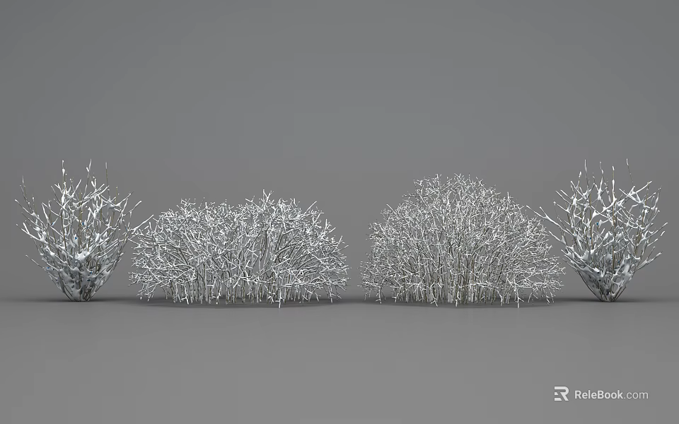 Ornamental Shrub Cluster with White Branches on Gray Background 3d model 