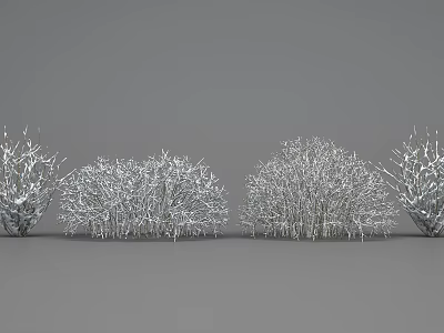 Ornamental Shrub Cluster with White Branches on Gray Background 3d model