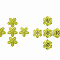 Green Flower Shaped Decorative Hardware Tools Small Components Set Collection