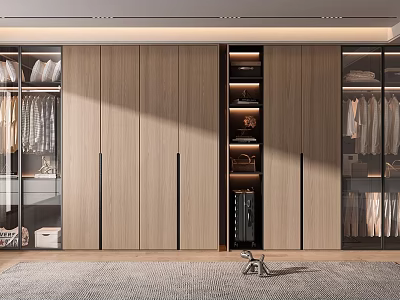 Modern Wooden Wardrobe Design With Glass Doors Hanging Clothes And Lighted Storage Compartments 3d model