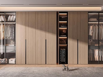 Modern wardrobe 3d model