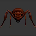 Detailed Brown Ant 3D Model With Realistic Close Up View On Dark Background