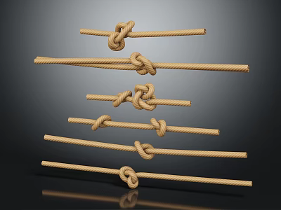 Various Rope Knots Displayed On Different Lengths Of Natural Fiber Ropes 3d model