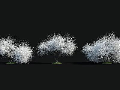 Flowering Arbor Trees with White Blossoms and Fluffy Canopies Against Dark Backdrop 3d model