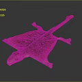 Gecko flying gecko large gecko multiple warts gecko webbed gecko webbed toed gecko reptile 3d model