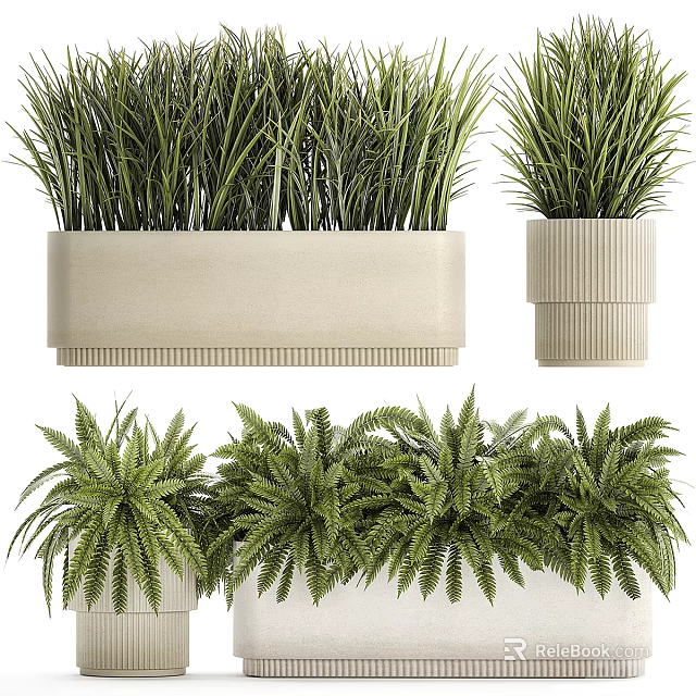 Potted Bonsai Plants With Grass Fern Varieties In Beige Textured Rectangular And Cylindrical Planters 3d model 