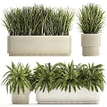 Potted Bonsai Plants With Grass Fern Varieties In Beige Textured Rectangular And Cylindrical Planters
