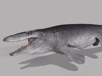 Prehistoric Mosasaurus Marine Reptile With Open Mouth And Sharp Teeth 3d model