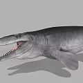 Prehistoric Mosasaurus Marine Reptile With Open Mouth And Sharp Teeth