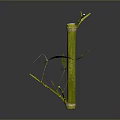 Fresh Green Bamboo Plant With Stalk Branches And Leaves Isolated On Dark Background