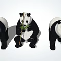 Three Giant Pandas with One Sitting Eating Bamboo and Two Standing