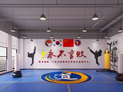Kindergarten Indoor Taekwondo Activity Space With National Flags Slogan Blue Floor And Circular Logo 3d model