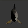 Fish Freshwater Fish Sea Fish Animal Game Animal Cartoon Animal Realistic Animal 3d model