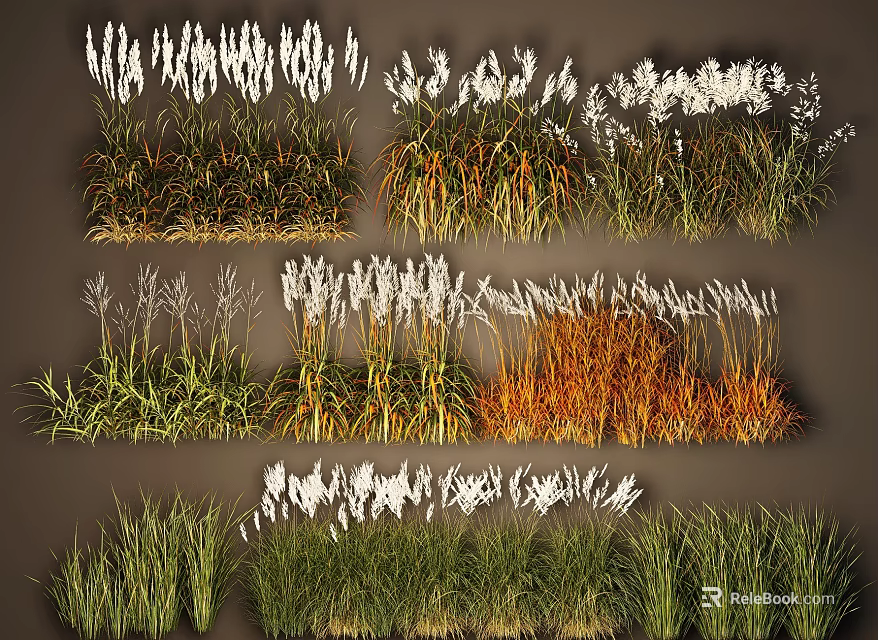 Ornamental Grass Plant Combinations With Green Orange White Foliage And Various Heights 3d model 