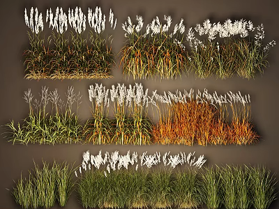 Ornamental Grass Plant Combinations With Green Orange White Foliage And Various Heights 3d model